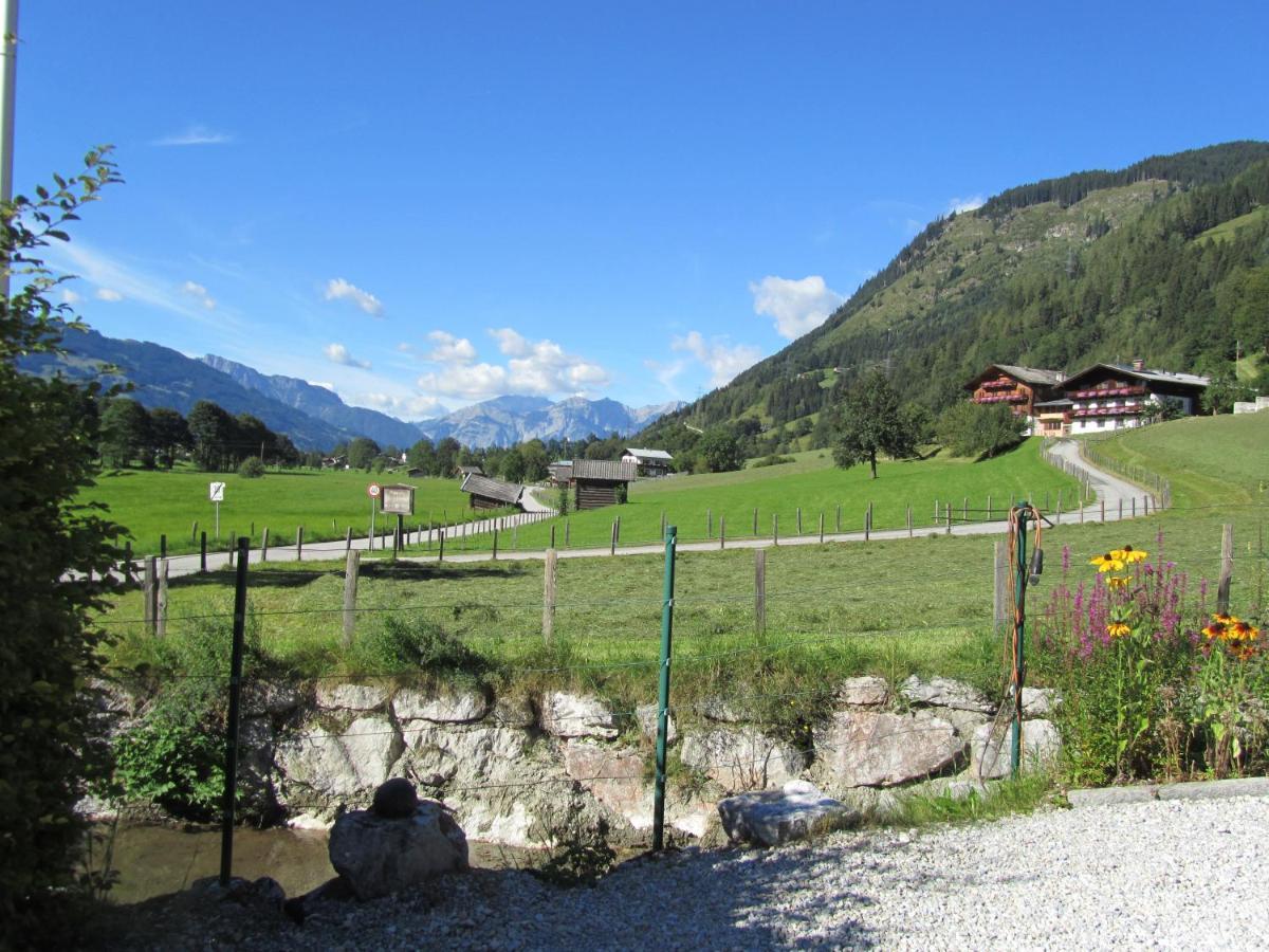 Gartenwohnung Robinigg Maishofen Exterior foto